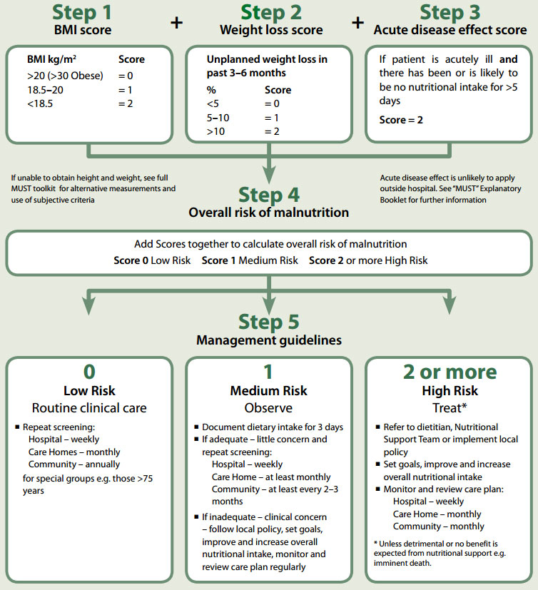 Espen Guidelines Ckd Diet Protein