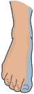 Foot L4