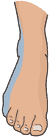 Foot S1