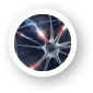 Neuron